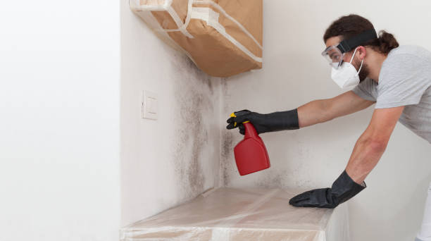 Professional Commercial Mold Remediation technician working in Lawrence Township, NJ