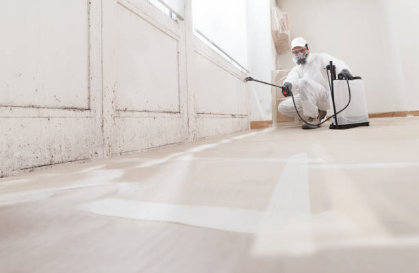 24/7 Emergency Commercial Mold Remediation experts in Lawrence Township, NJ